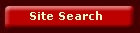 Site Search